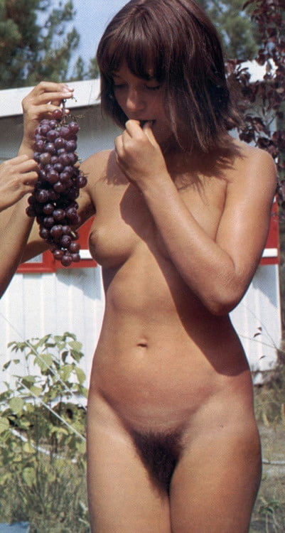 Pre digi camara pix 115
 #96896444