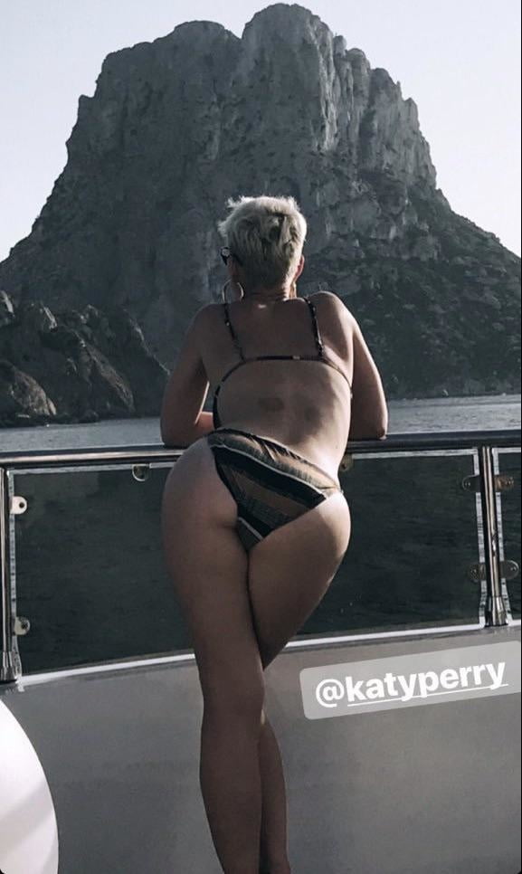 Katy Perry Slut Diary 2020 #105766385