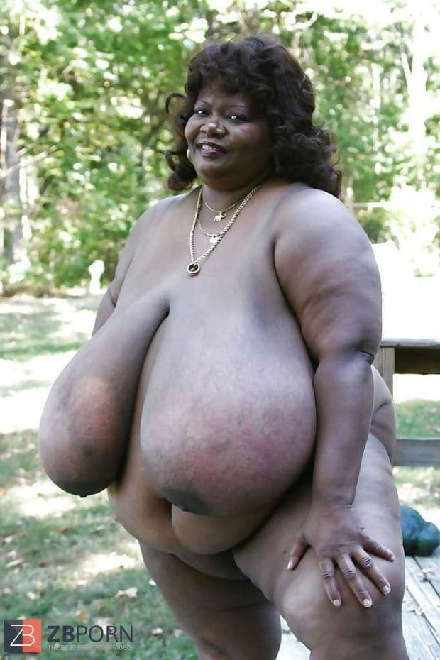 NORMA STITZ BIG GIANT TITTS #103229072