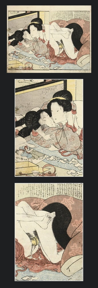 Shunga-leabiens
 #106823316