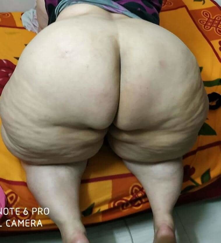 Perras gordas #99480865