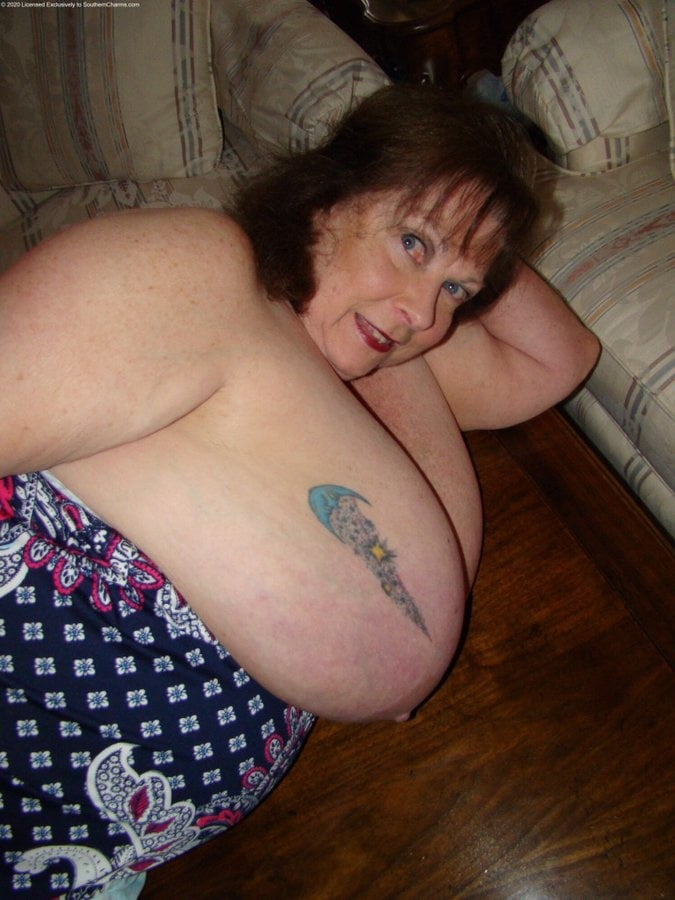 Perras gordas #99481043
