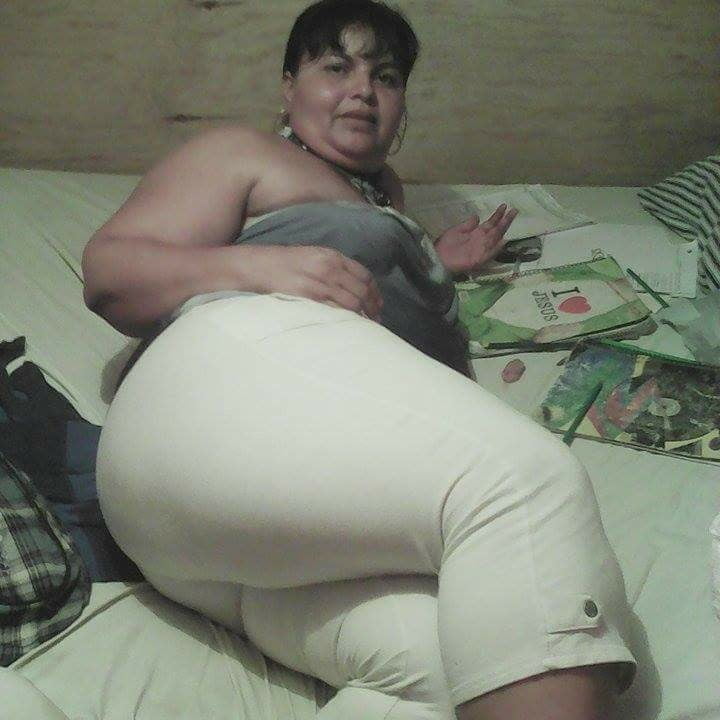 Perras gordas #99481091