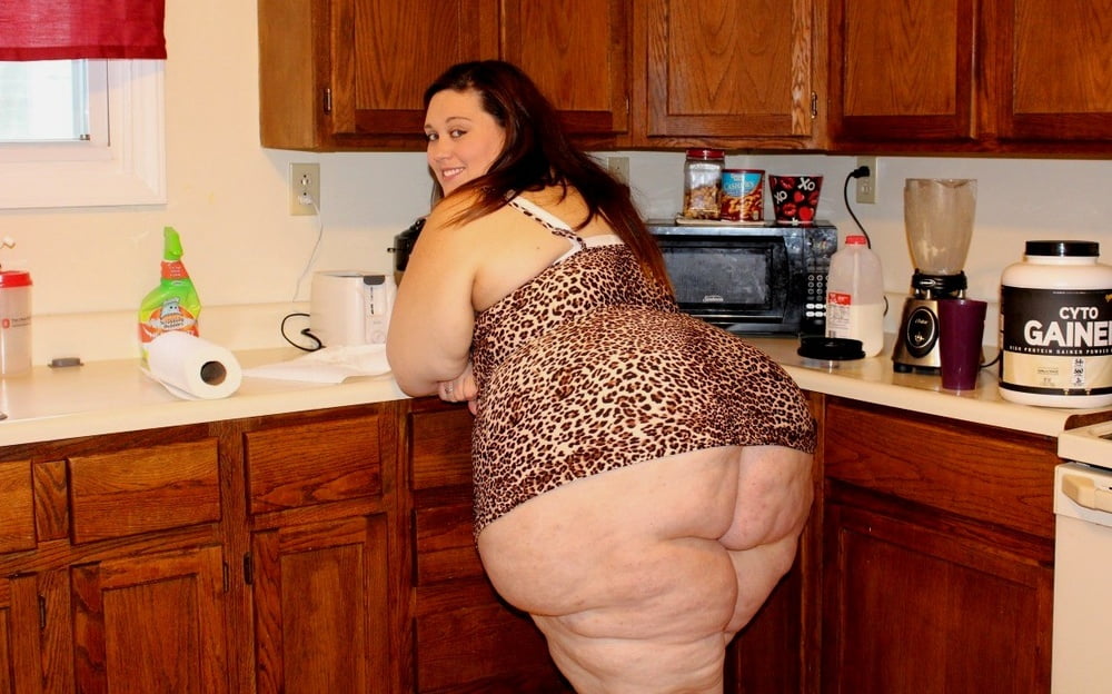 Perras gordas #99481346