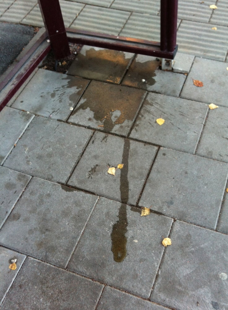 My piss puddles at the bus stop #103879656