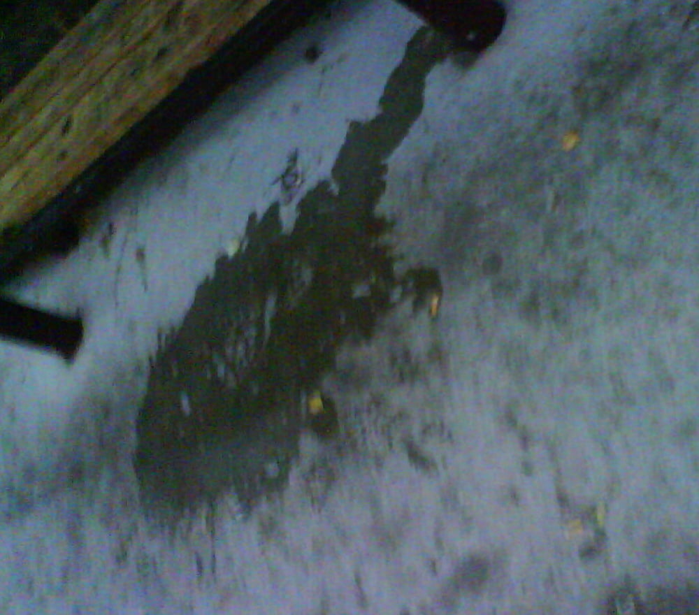 My piss puddles at the bus stop #103879679