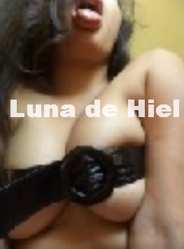 La Perrita trujillana de Rosmery. #93680455