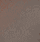 Titty drop & reveal gifs
 #104947583