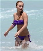 Hayden Panettiere #100194339