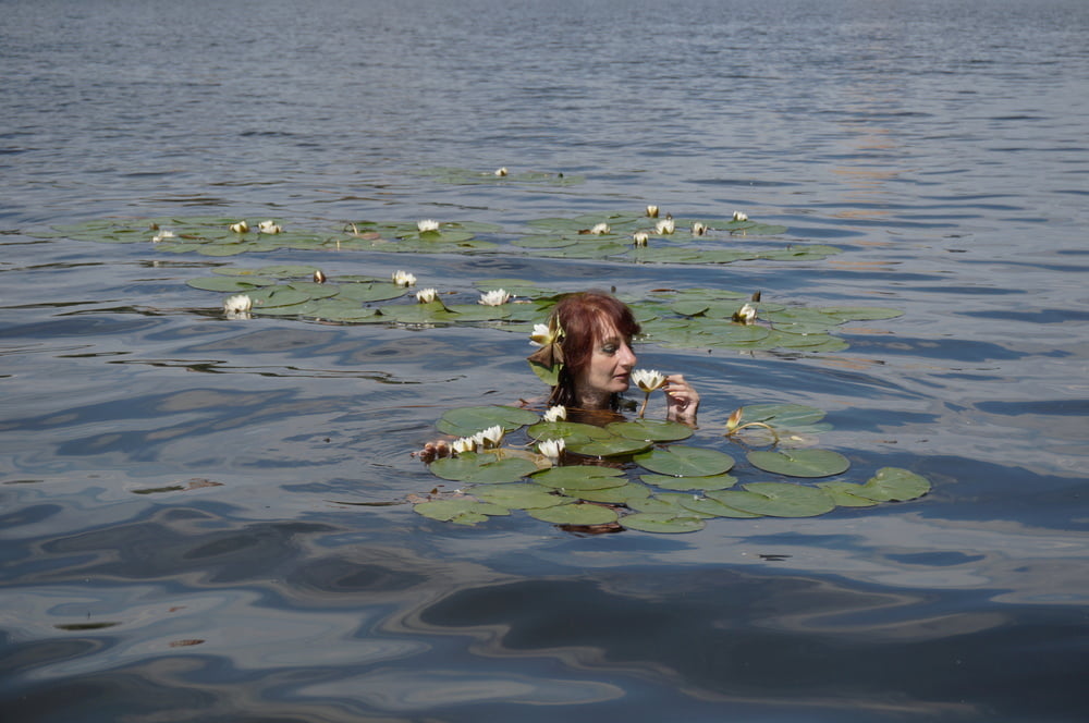 In City&#039;s Pond #107223472