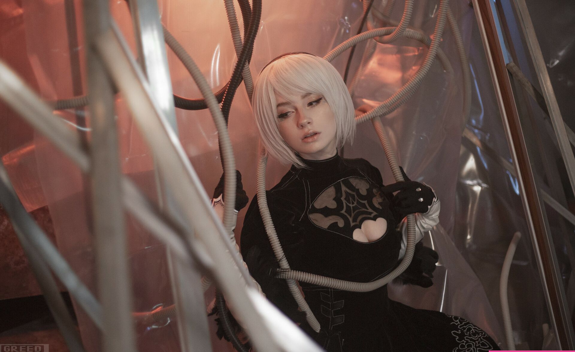 Likeassassin nackt #108877128