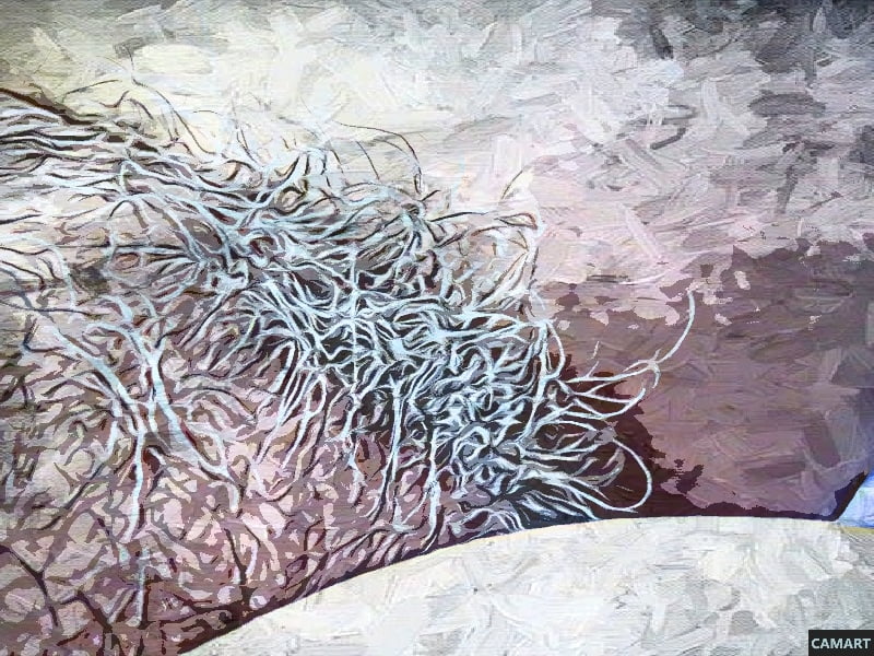 NaturallyExcited #81188912