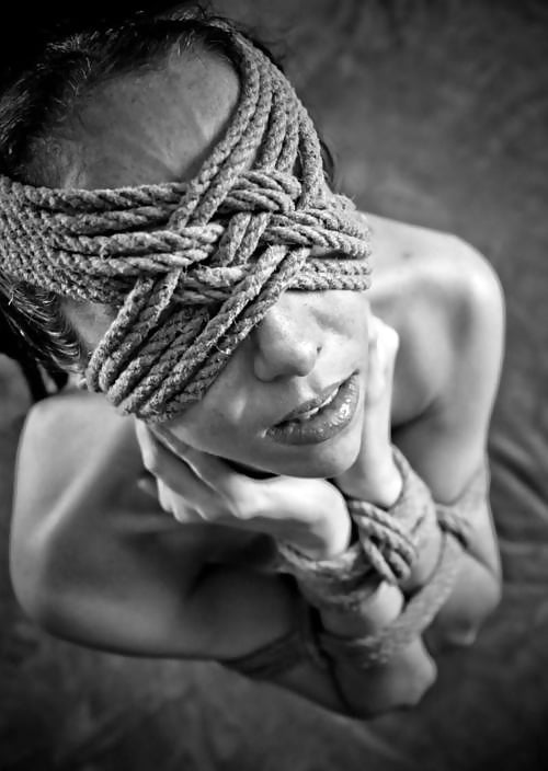 L'art du shibari
 #103116620