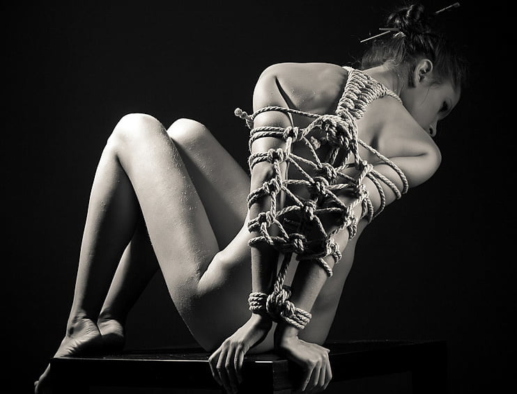 L'art du shibari
 #103116743