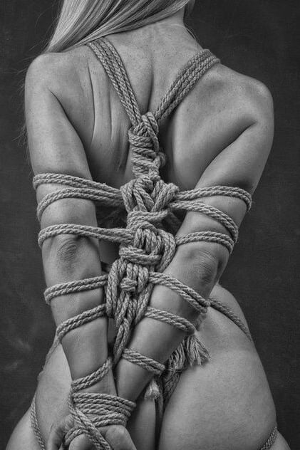 The art of Shibari #103116746