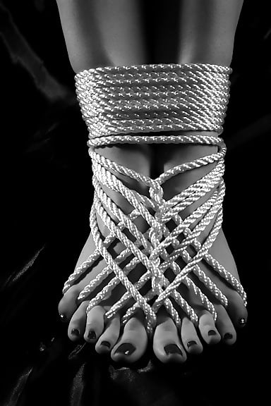 L'art du shibari
 #103116756