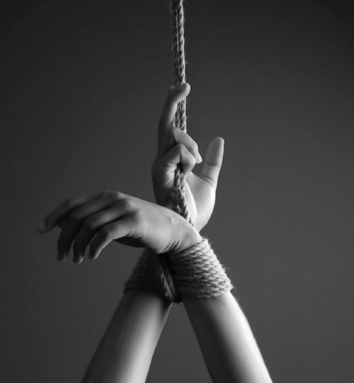 L'art du shibari
 #103116757