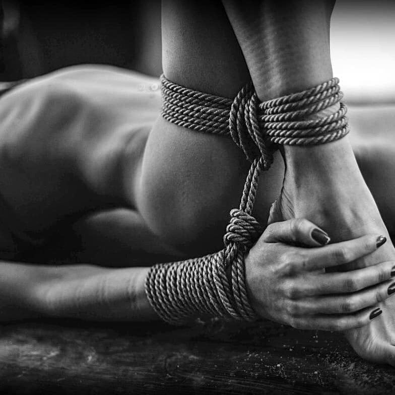 L'art du shibari
 #103116789