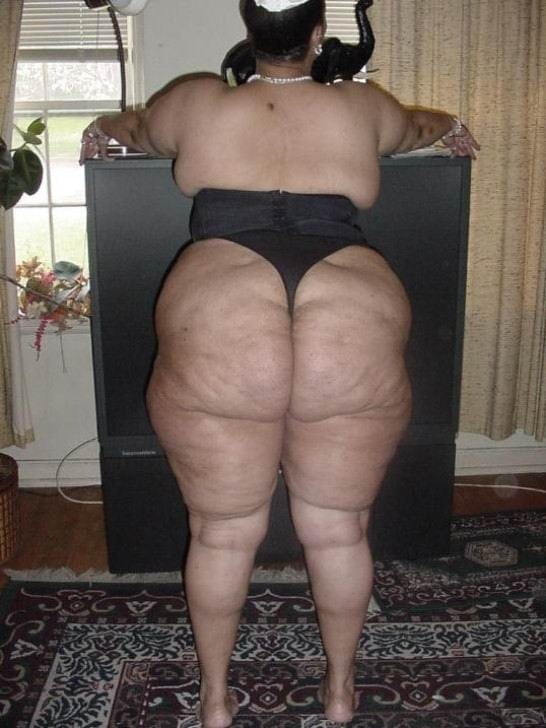 Gordinhas Que Admiro 46(BBWs That I Admire 46) #105905650