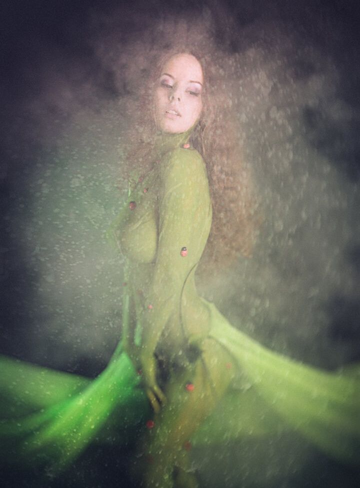 Disharmonica desnuda #107562406