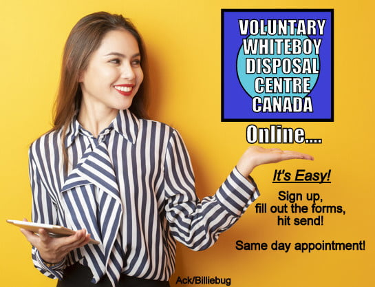 Vwd fakes....
 #91551576