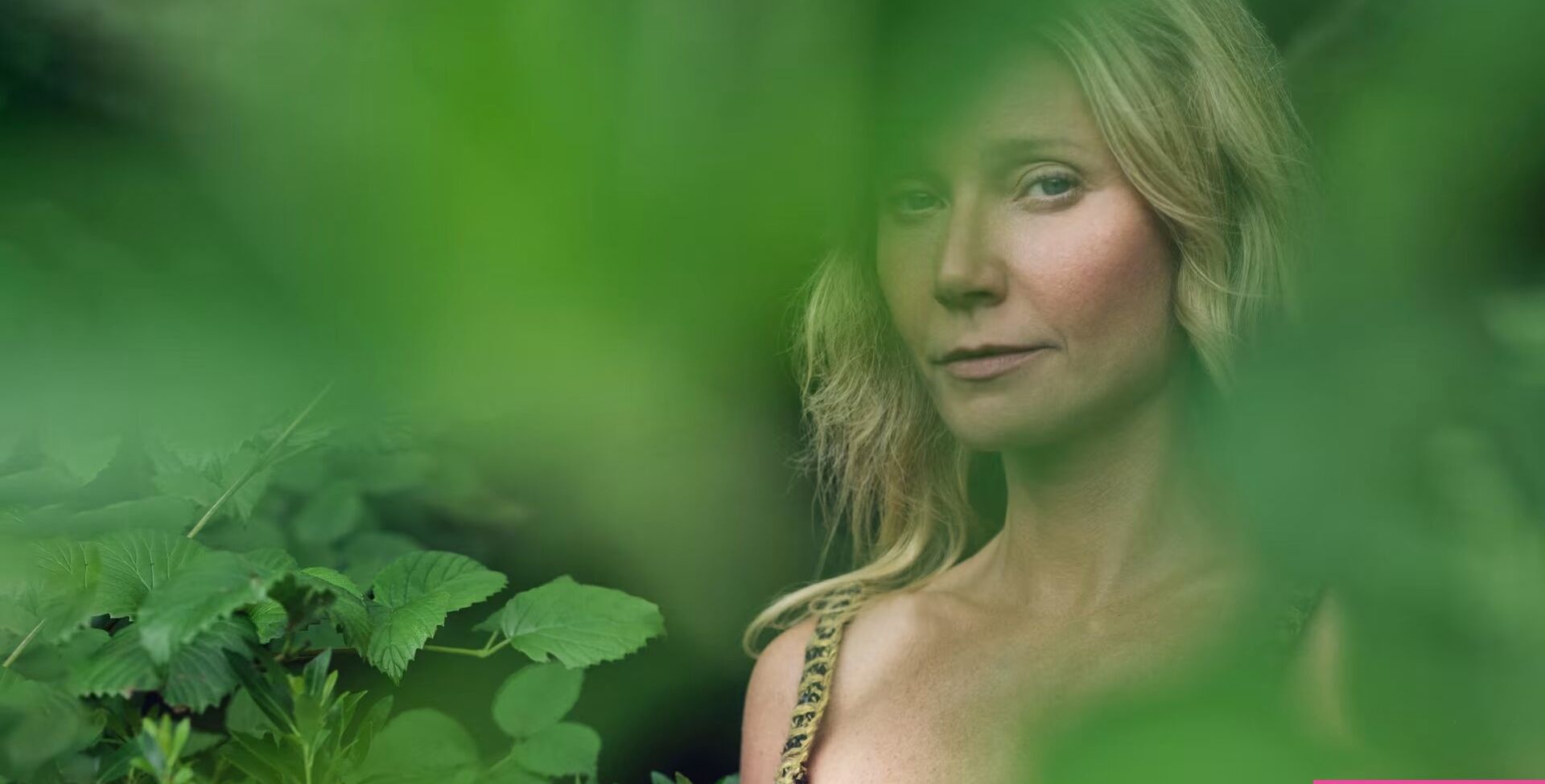 Gwyneth Paltrow desnuda #108300516