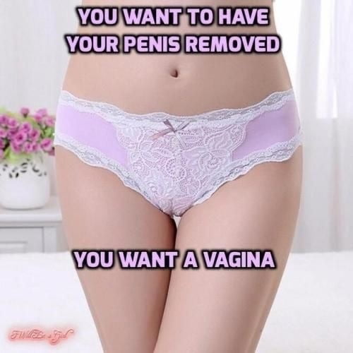 Sissy Dreams 5 #103478010