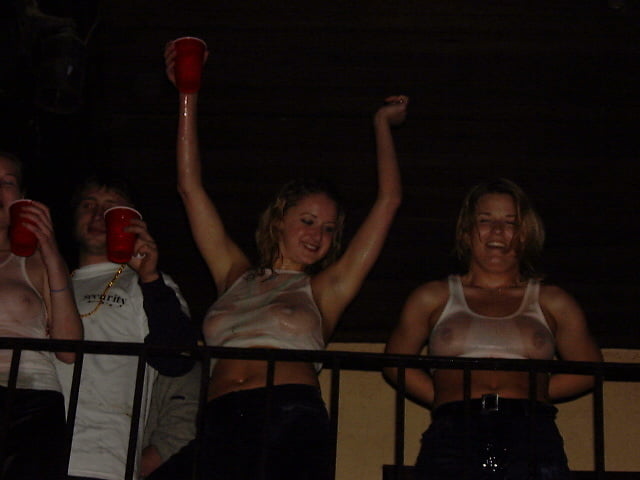 Pollos públicos 8
 #95687545