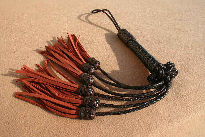 Roraima. Multi-tail flogger #93701294