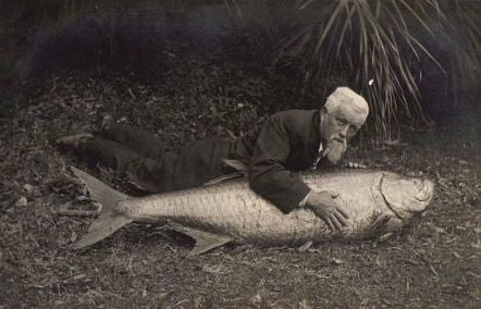 Casebook 001a #90294955