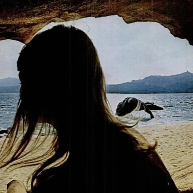 Casebook 001a #90294976