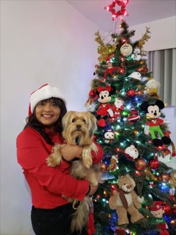 Christmas In July #89267871