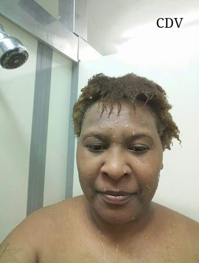 Mature Tolai #96512876