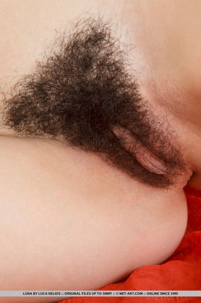 hairy pussy #95066822