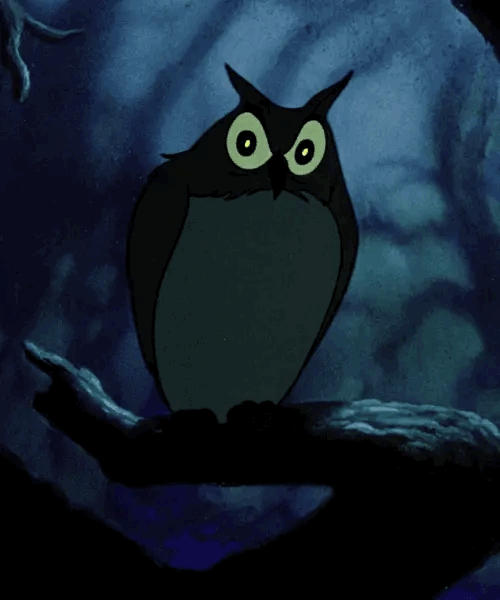 Casebook 003 gifs #98314711