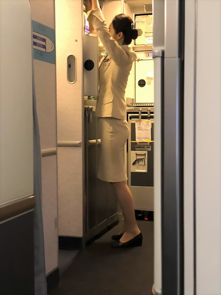 Coreano hostess di volo
 #100008403