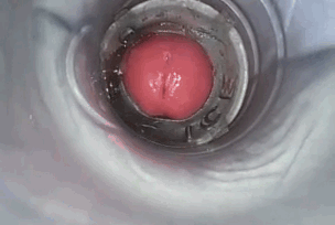 Fantastic GIFS!!! (7) #102967579