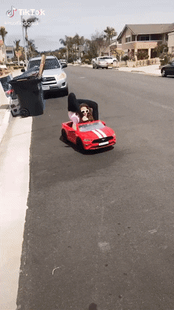 Gifs MEGA COMPIL 6 #98591106