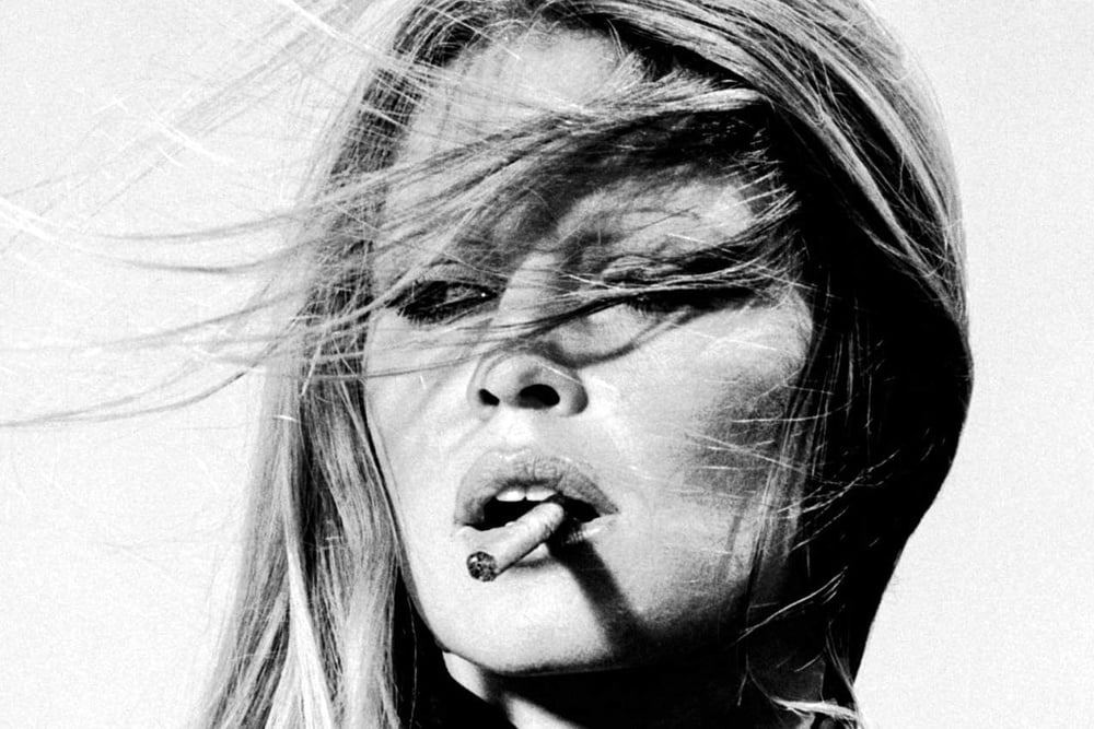 Brigitte bardot
 #102281519