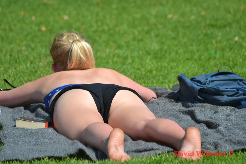 Sudafrica - barbone sulla spiaggia di città del capo
 #94419304