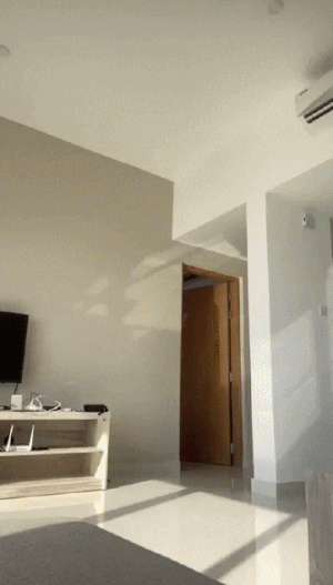 GifMix (unsorted Gifs) 109 #87868781