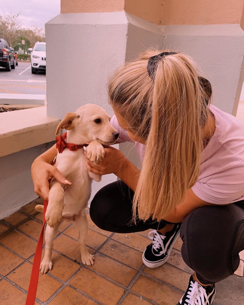 Amateur rubia 84
 #103493498