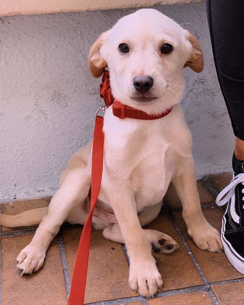 Amateur rubia 84
 #103493501