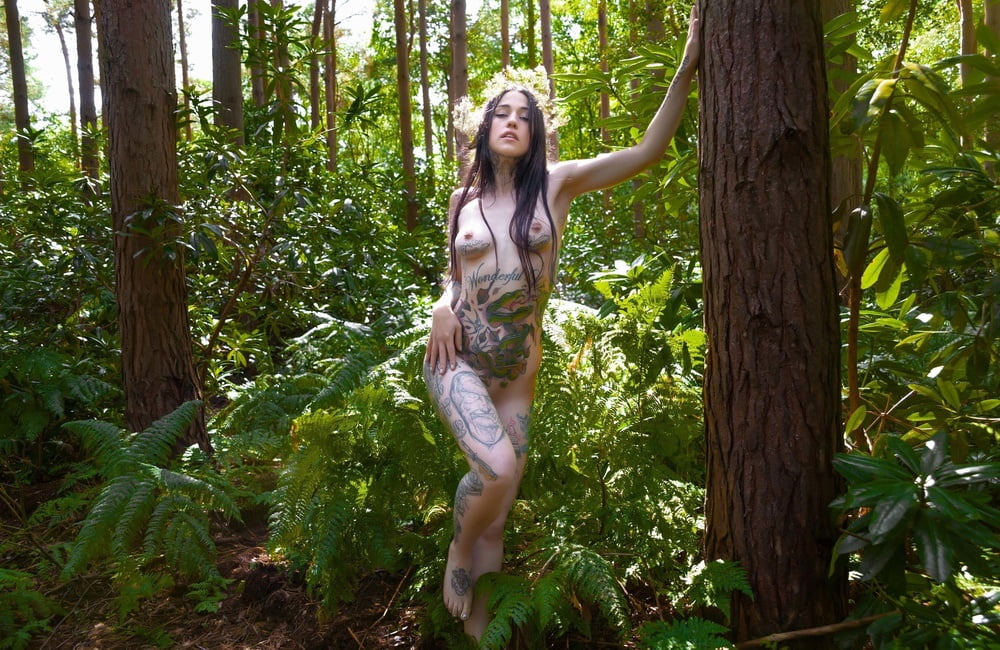 Abrazadores de árboles 390
 #87563410