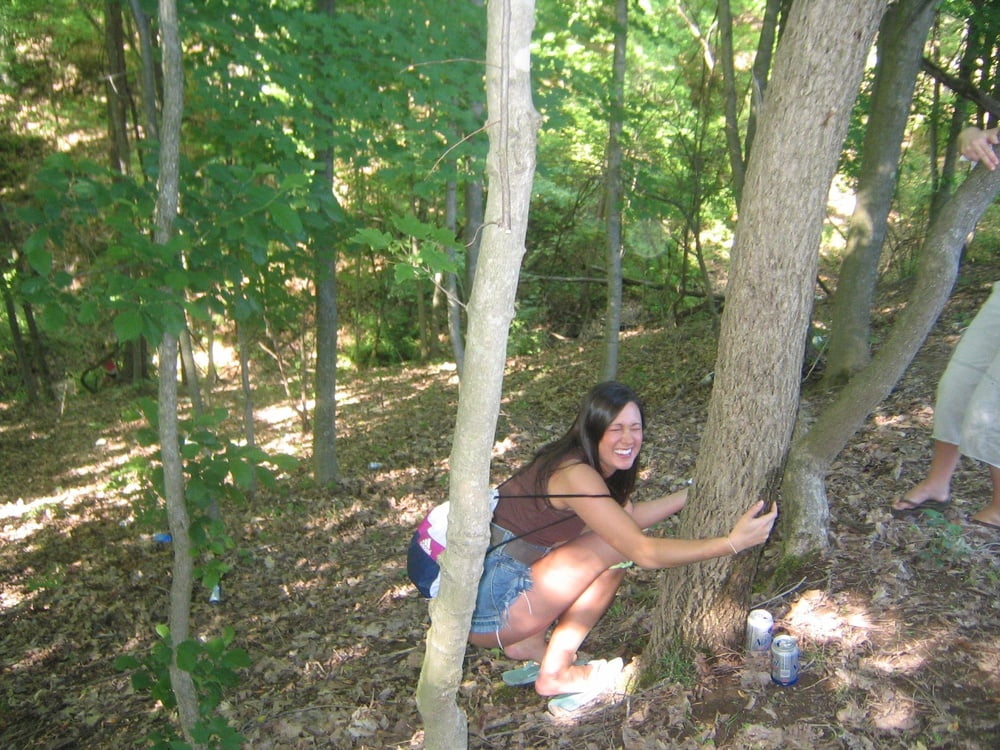 Abrazadores de árboles 390
 #87563599