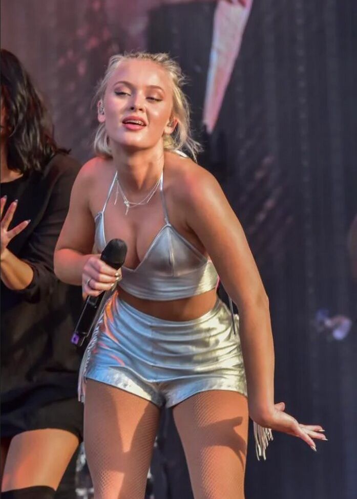 Zara Larsson nude #108253215