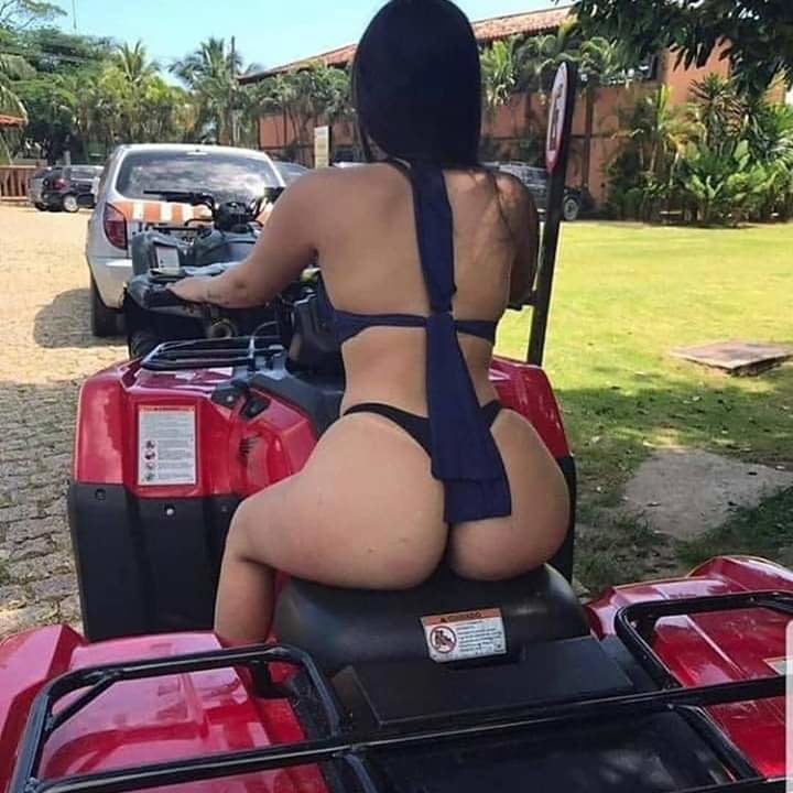 #＃モーレナス・ゴストーサス・ラブダス・テスダス
 #98103933