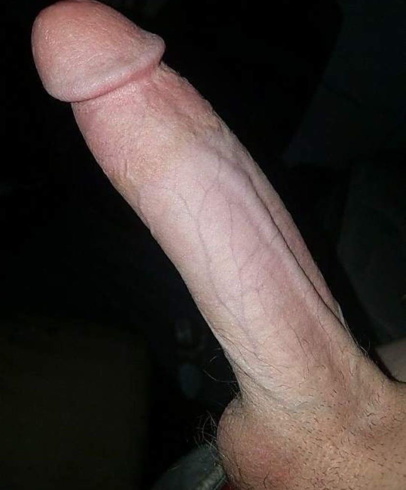 My dick #102710386