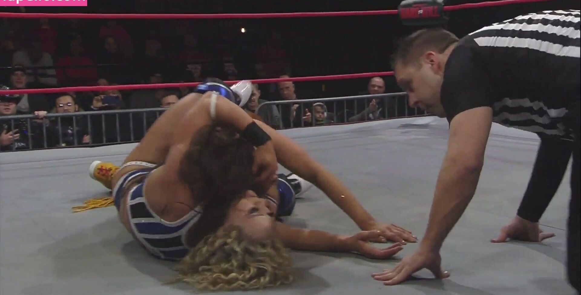 Mickie James nude #109457354