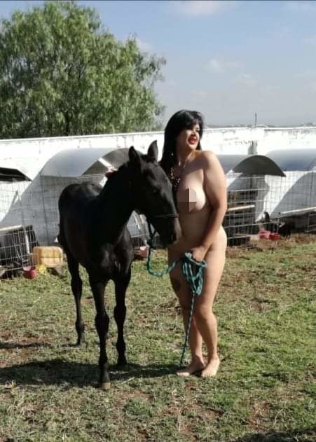 Sexy ladys v13
 #99856296